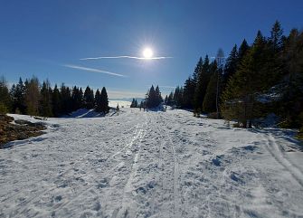 Viaggio di gruppo a piedi: Ciaspolata ad Asiago
Veneto trekking