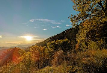 Trekking giornaliero in Toscana:
Andare a Gusto - Monte Morello, in gruppo a piedi