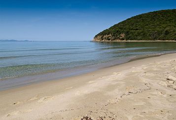 Trekking giornaliero in Toscana:
Cala Violina, in gruppo a piedi