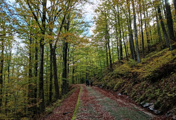 Trekking giornaliero in Toscana:
Trekking Esperienziale: nel cuore dell’Acqua, in gruppo a piedi