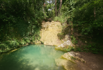 Trekking giornaliero in Toscana:
Trekking Esperienziale notturno: Halloween Runica, in gruppo a piedi