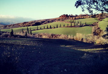 Trekking giornaliero in Toscana:
Valdorcia: nella terra di Iris, in gruppo a piedi