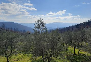Trekking giornaliero in Toscana: Insoliti incontri in Val di Sambre, in gruppo a piedi