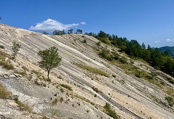 Trekking giornaliero in Emilia-Romagna:
Foliage al Lago di Poggio Baldi, in gruppo a piedi