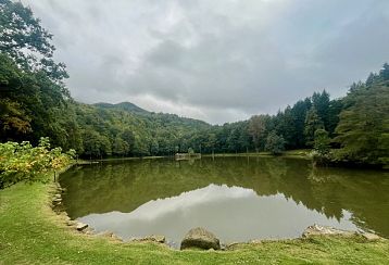 Trekking giornaliero in Emilia-Romagna:
Incontro tra spirito e natura, in gruppo a piedi