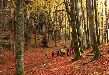 Trekking giornaliero in Toscana:
Trekking Esperienziale: Sui passi dello Spirito – Dalla Verna al Monte Penna, in gruppo a piedi