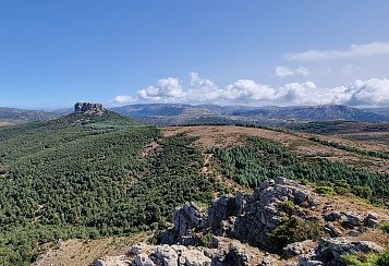 Trekking giornaliero in Sardegna:
Supramonte di Orgosolo, in gruppo a piedi