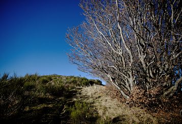 Trekking giornaliero in Toscana:
Poggio Uomo di Sasso, in gruppo a piedi