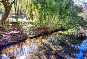 Trekking giornaliero in Lazio:
Il Parco di Turona, in gruppo a piedi