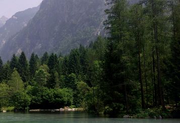 Trekking giornaliero in Veneto:
Riserva naturale della Val di Mello, in gruppo a piedi